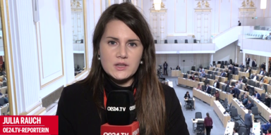 Scharfe Generaldebatte zum Budget 2023 im Nationalrat.png