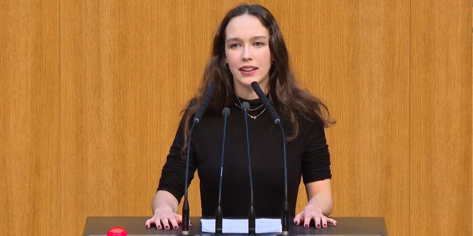 Schilling im EU-Parlament