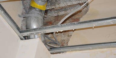 Alarm in Schimmel-Schule