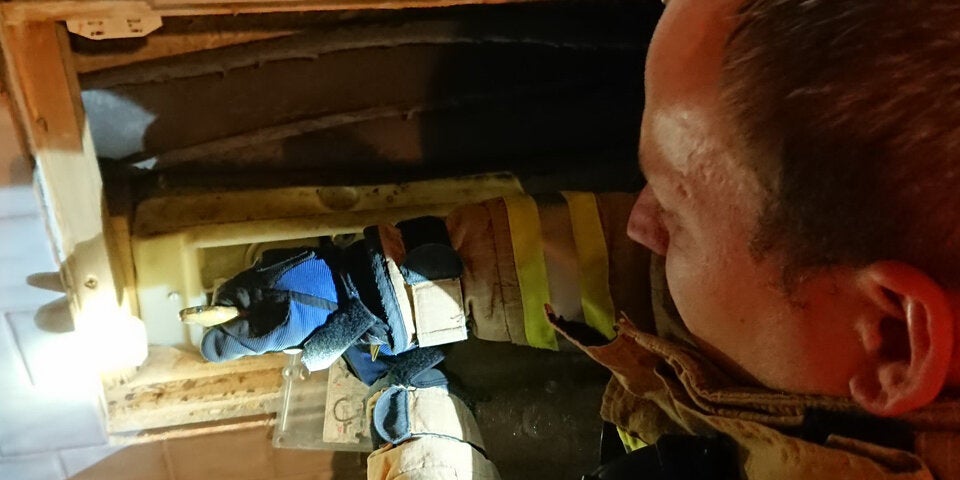 Schlangen-Alarm auf Klo in Niederösterreich