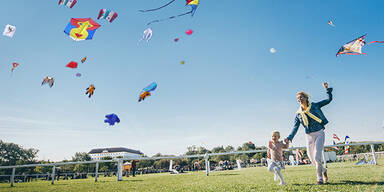 Riesendrachen kreisen &uuml;ber Schloss Hof
