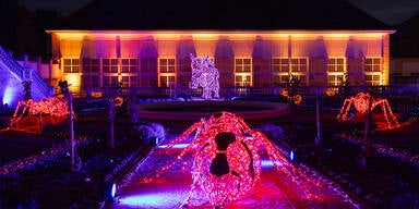 Lichtershow & Spezial-Programm: Schloss Hof erstrahlt zu Halloween