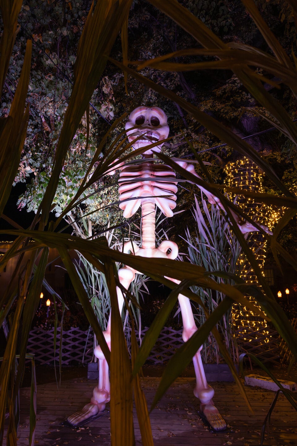 Lichtershow & Spezial-Programm: Schloss Hof erstrahlt zu Halloween