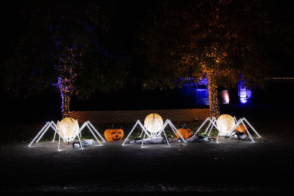 Lichtershow & Spezial-Programm: Schloss Hof erstrahlt zu Halloween