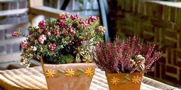 Schmückt den Balkon bis in den Winter