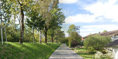 Schmelzhütterstraße