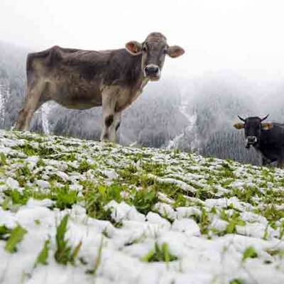 Wintereinbruch in Österreich 
