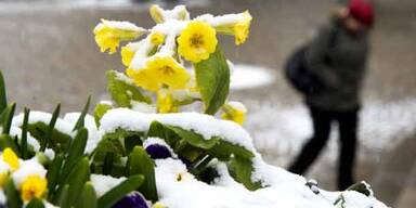 Darum dauert Winter heuer bis Mai