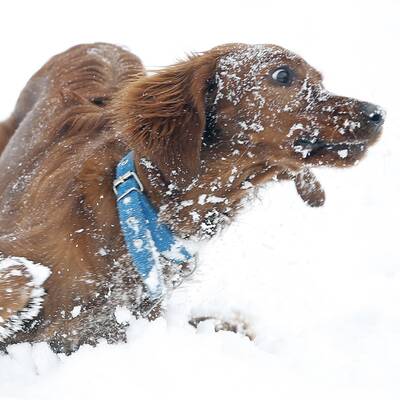 Österreich versinkt im Schnee