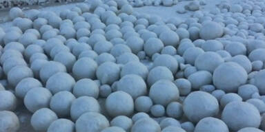 Schneeb&auml;lle Sibirien