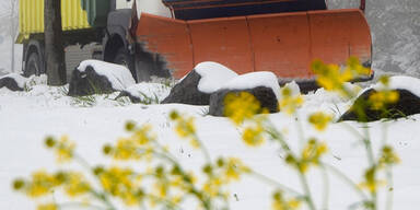 Wetter-Wahnsinn: Schneepflug im Juni