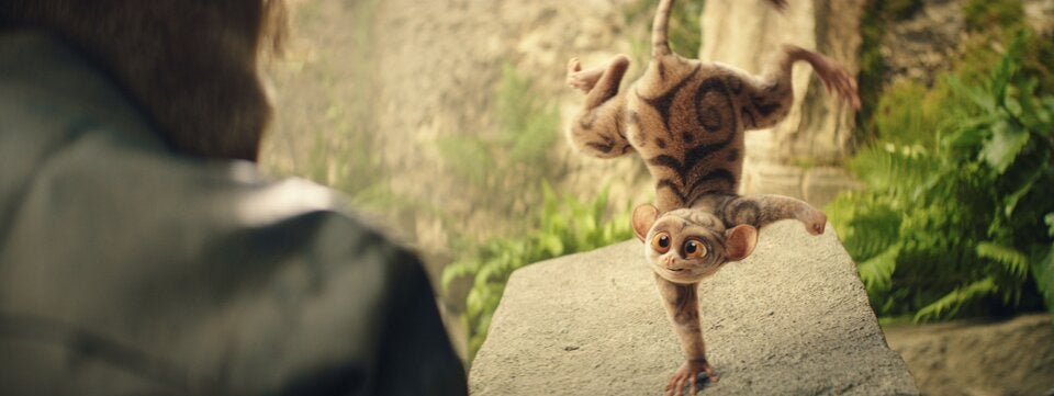 “Schule der magischen Tiere 4“ bringt Klassenkampf und Koboldmaki