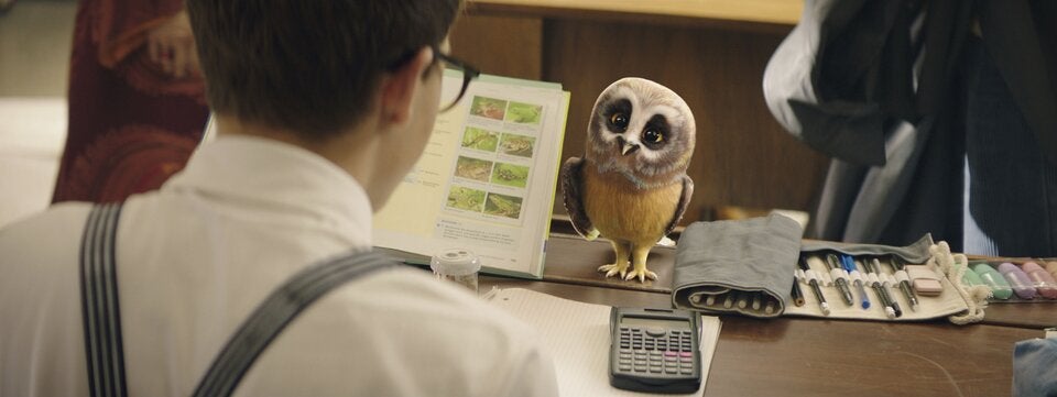 “Schule der magischen Tiere 4“ bringt Klassenkampf und Koboldmaki