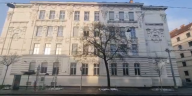 Vinyana Manset Haber