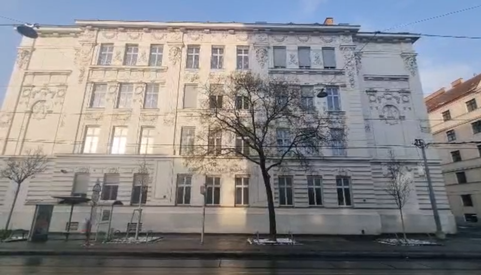 Vinyana Manset Haber