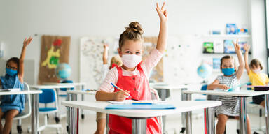 Schulen bis 18. J&auml;nner geschlossen - aber ab 7. Distance Learning | Wieder Home-Schooling