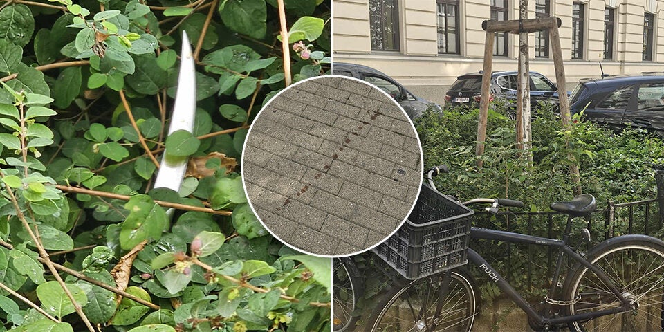 Messer Attacke Karajangasse Gymnasium