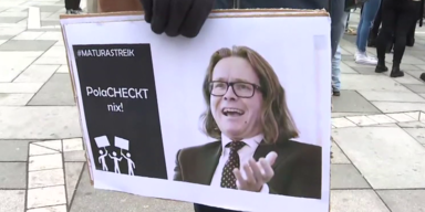 Schulstreik Plakat