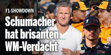 Schumacher Verstappen Norris Piastri