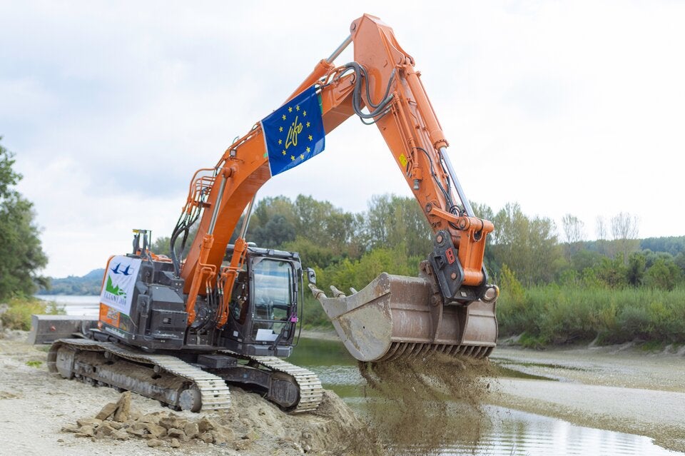 Schwalbeninsel: Rekord-Uferrückbau wurde gestartet