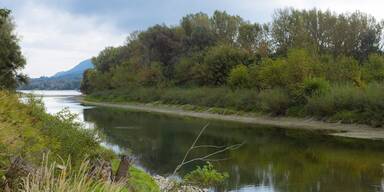 Schwalbeninsel: Rekord-Uferr&uuml;ckbau wurde gestartet