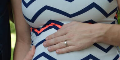 Schwangerschaft Hund