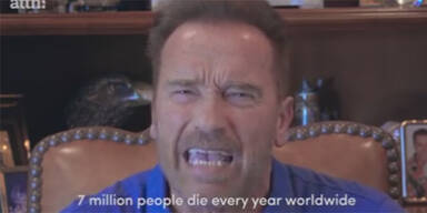 Arnies "Bullshit"-Video ist der Renner im Internet