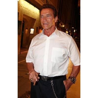 Arnold Schwarzenegger in Wien gelandet