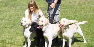 SchwarzlFTP-P8080036.3