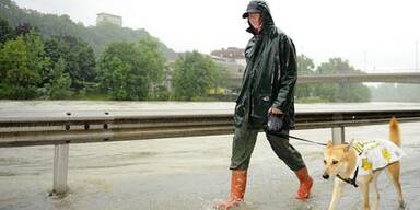 SchwarzlFTP-_MPA2067.2