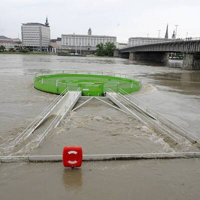 Linzer Auge schwimmt davon