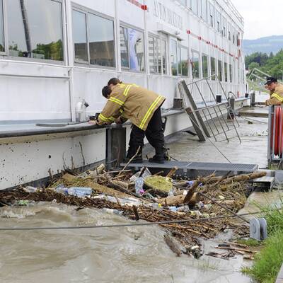 Linzer Auge schwimmt davon