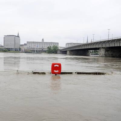 Linzer Auge schwimmt davon