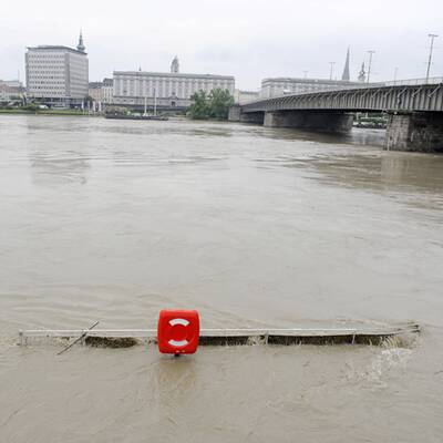 Linzer Auge schwimmt davon