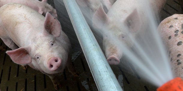 Auf Gluthitze folgt Donnerwetter