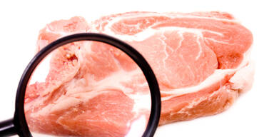 Schweinefleisch unter der Lupe