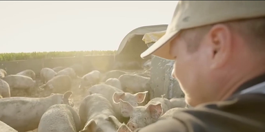 Schweinehaltung (2).png