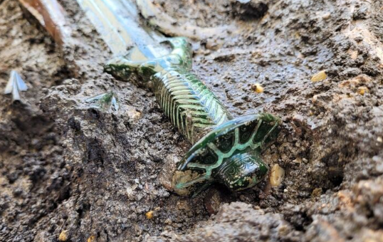 Archäologie- Büro Dr. Woidich/Bayerisches Landesamt für Denkmalpflege