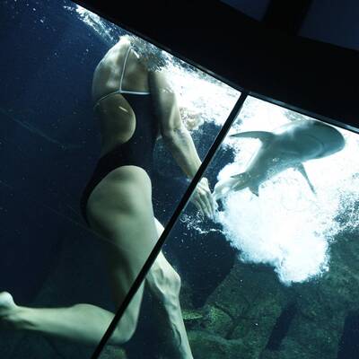 Schwimmstar Fabienne Nadarajah und andere Promis im Haus des Meeres