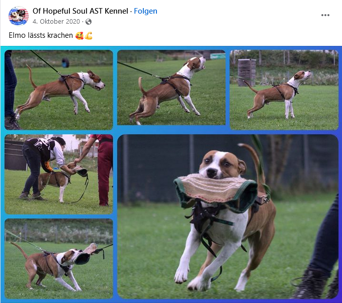 Facebook-Seite der Züchterinnen von 