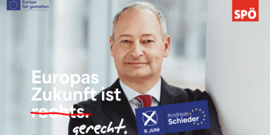 Schieder auf Vilimsky.eu