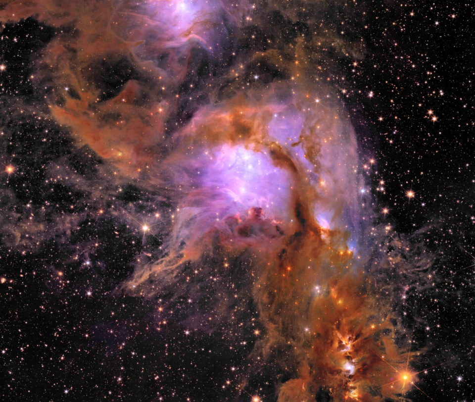Euclid: Atemberaubende neue Weltraumbilder enthüllen kosmische Geheimnisse