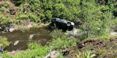 Flauschiger Held: Hund rennt 6 Kilometer durch Wildnis und rettet Herrchen aus Todesfalle!