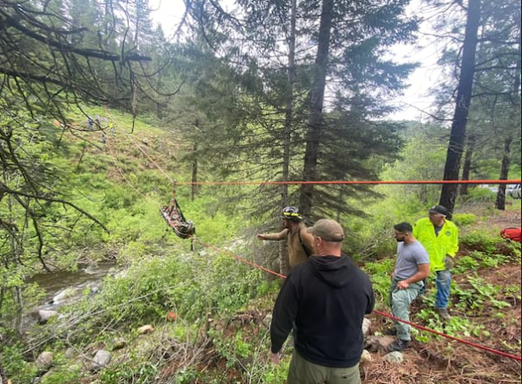 Flauschiger Held: Hund rennt 6 Kilometer durch Wildnis und rettet Herrchen aus Todesfalle!