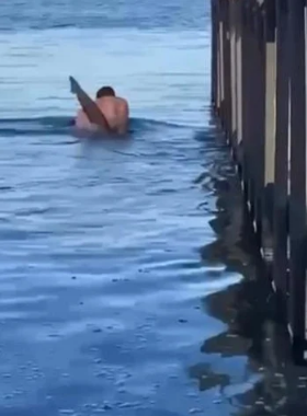 Mann ringt mit 3-Meter-Hai - wird zur Internet-Legende