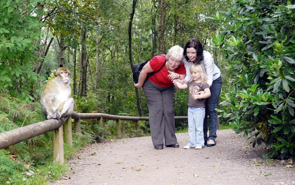 Besucher von Affenwald beschwert sich: