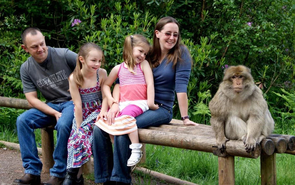 Besucher von Affenwald beschwert sich: