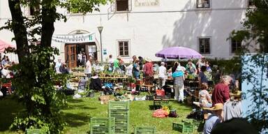 ARCHE NOAH Jungpflanzen- und Tauschmarkt in Schiltern