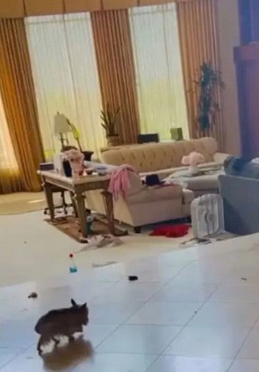 Britney Spears gewährte auf Instagram Einblick in ihr Chaos. Überall liegen Sachen herum, auf dem Boden sieht man Hundekot. 