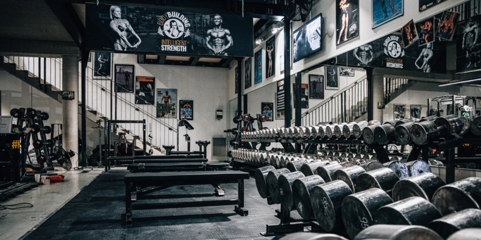 Über 3.000 m² Kraftsport auf höchstem Niveau – Willkommen im „Disneyland des Kraftsports“